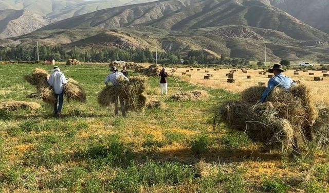 Köy köy gezip kızgın güneş altında bunu yapıyorlar