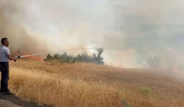 Diyarbakır’ın Lice ilçesinde yangın