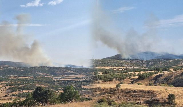 Lice’de yangın zinciri: Duman ilçeyi sardı, halk tedirgin
