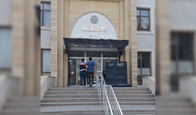Mardin'de akıl almaz olay, şahıs gözaltına alındı