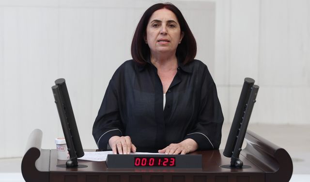 Diyarbakır vekili “Geçinemiyor” dedi, sorunu meclise taşıdı