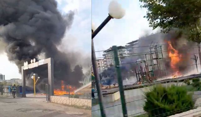 SON DAKİKA: Diyarbakır’da park cayır cayır yanıyor!