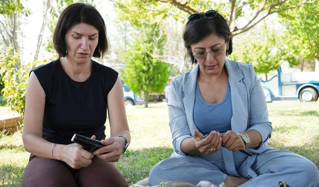DEM Partili eş başkan kurutmalık patlıcan için kolları sıvadı