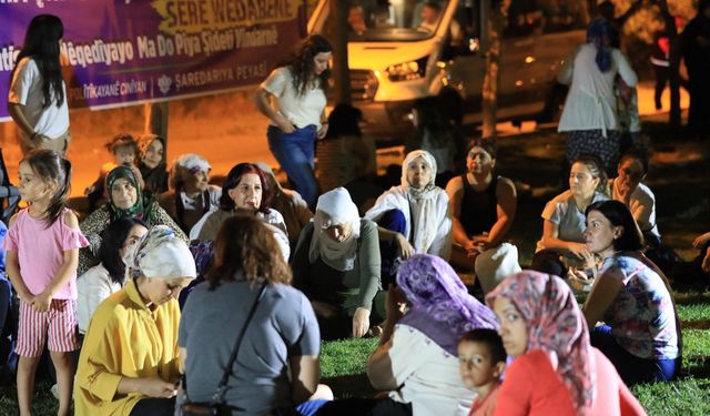 Diyarbakır, kadına yönelik şiddete karşı sokakta