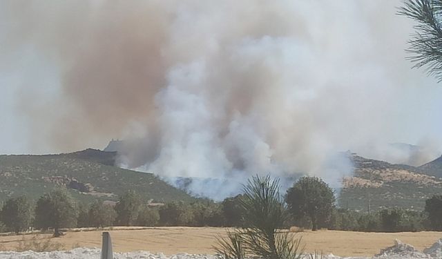 Diyarbakır Lice kırsalında 2 ayrı bölgede büyük yangın!