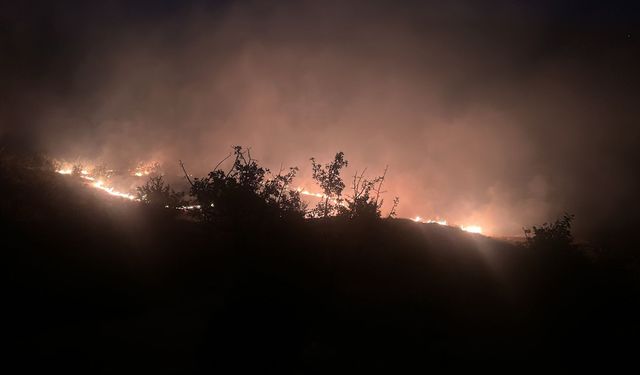 Diyarbakır Lice’de yangın: Kontrol atlına alınamıyor