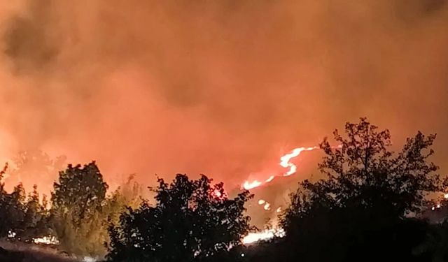 Diyarbakır Lice’deki orman yangını söndürüldü