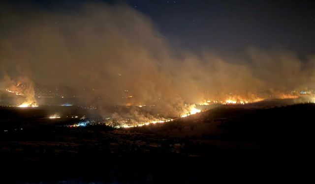 Diyarbakır Lice’deki yangında korkulan oldu: Köy yandı, bir kişi kalp krizi geçirdi