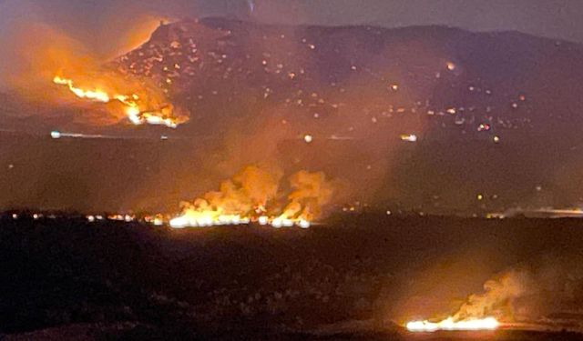 Diyarbakır Lice’den yardım çığlığı: Havadan müdahale olmadan bu ateş sönmez!
