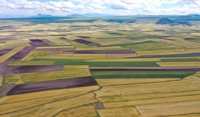 Diyarbakır’da mahkeme kararıyla tarla satılığa çıkarıldı