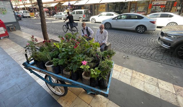 Diyarbakır'da 5 yıldır ekmeğini çiçekten çıkarıyor