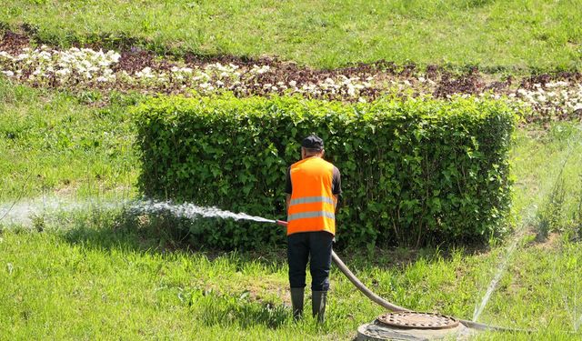 Diyarbakır'da çim yerine ağaca teşvik