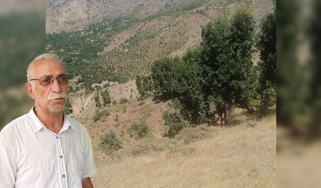 Diyarbakır’da doğa için “Ekolojik Köy Ormanı” projesi