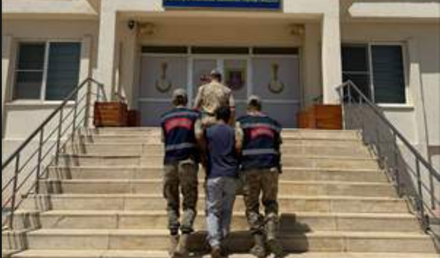 Mardin'de, "Hayvanların kısırlaştırılması" paylaşımına gözaltı
