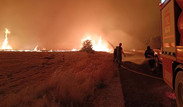 Diyarbakır Lice’de yangın yeniden alevlendi