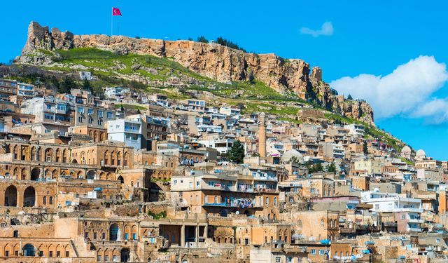 Mardin milletvekili uyardı: Yurttaşlar isyanda!