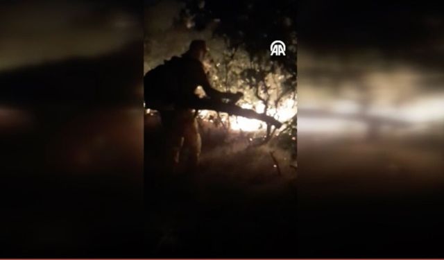 SON DAKİKA.. Diyarbakır Silvan’da orman yangını: Müdahale sürüyor