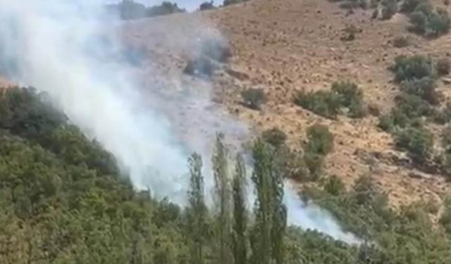 Şemdinli’de orman yangını, destek bekleniyor