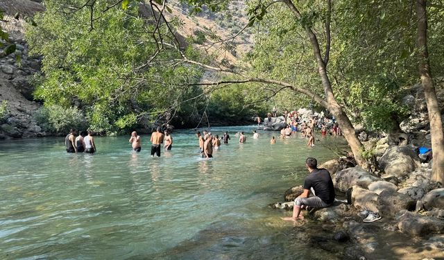 Sıcaktan bunalan Avaşin Deresi'ne akın etti