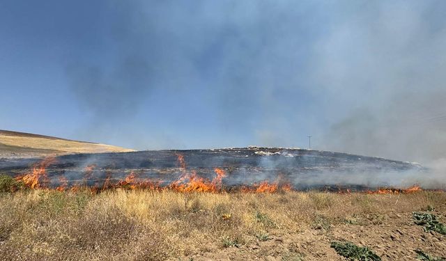 Van'da yüzlerce dönüm arazi kül oldu