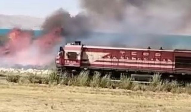 Van'da Erçek Gölü kıyısındaki sazlıklarda yangın