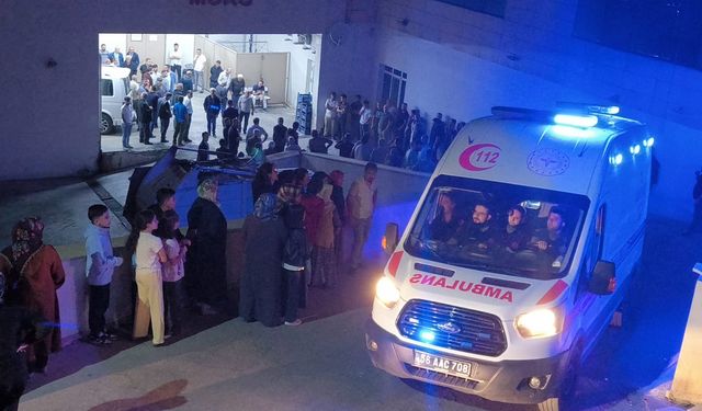 Ava giden yaşlı adam dağda ölü bulundu