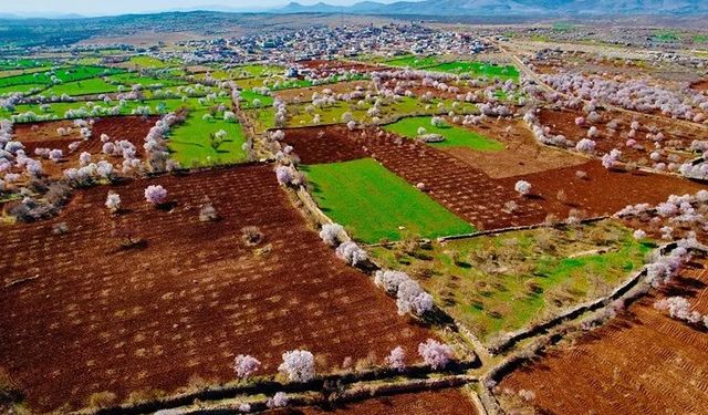 Diyarbakır Eğil’de çiftçilere hibe desteği sözü