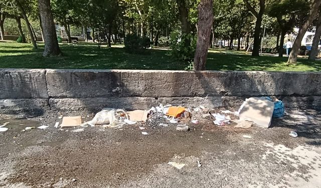 Diyarbakır’da bu görüntüler şok etti!