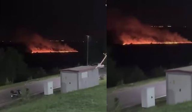 Diyarbakır'da dünya mirası listesindeki Hevsel Bahçeleri'nde korkutan yangın