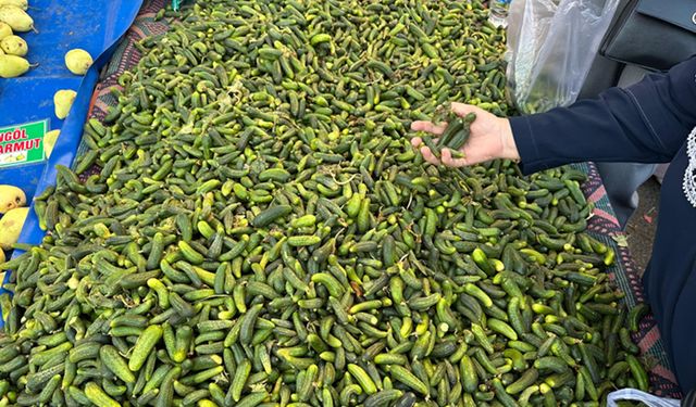 Diyarbakır'da evde turşu kurmanın maliyeti ne kadar?