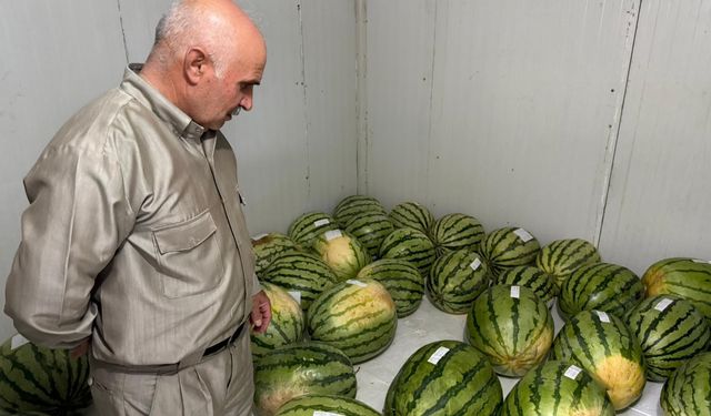 Diyarbakır'da karpuz yarışması başlıyor