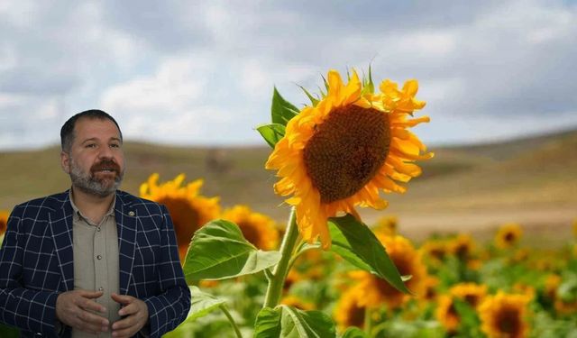 Geliri yüksek, maliyeti düşük ama Diyarbakır’da üretimi yok
