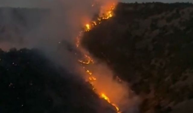Hakkari Şemdinli'de orman yangını: Müdahale sürüyor