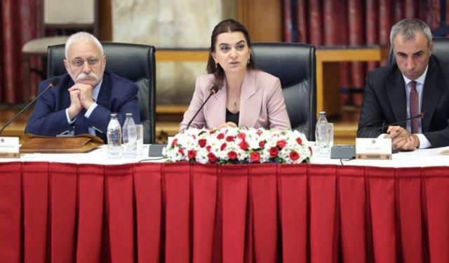 Koçyiğit: Antidemokratik uygulamalar süreci zehirliyor