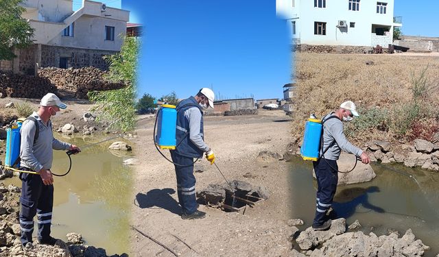 Ekspres yazdı, Diyarbakır Büyükşehir Belediyesi harekete geçti