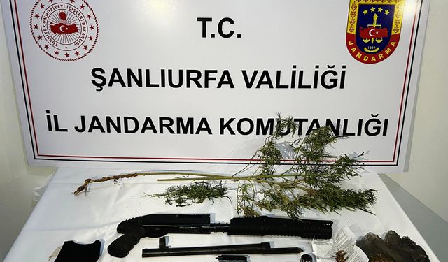 Şanlıurfa'da operasyon, 42 gözaltı
