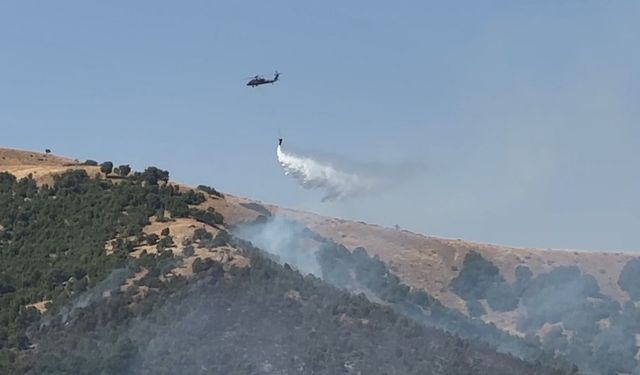Şemdinli'de orman yangını: Yerleşim yerleri boşaltıldı, müdahale sürüyor