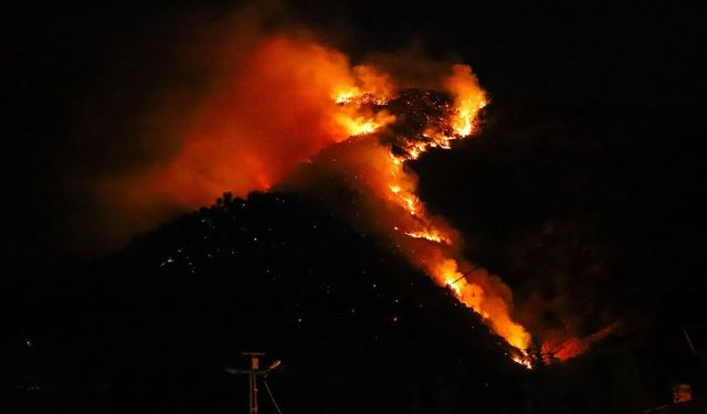 Şemdinli'de korkutan yangın