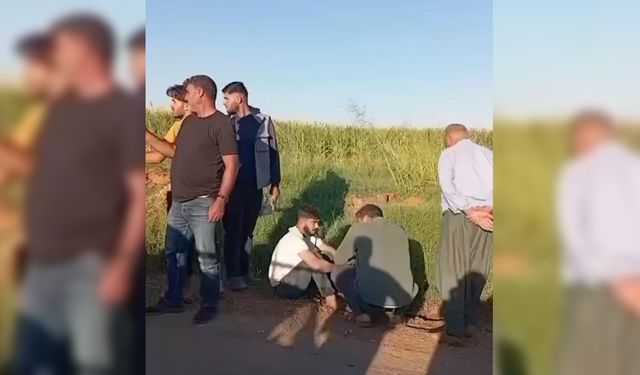 Urfa'da hareketli dakikalar: Aracı kurşunlayan iki saldırgandan biri tarlada yakalandı