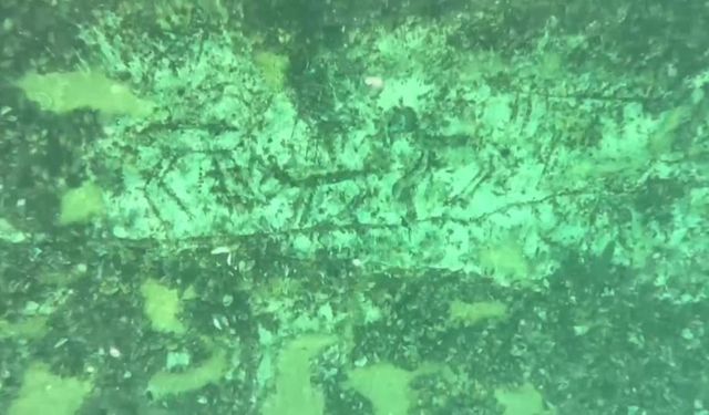 12 bin yıllık kaya resimleri su altında görüntülendi