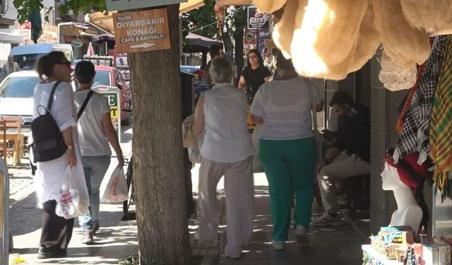 Allegra topluluğu Diyarbakır’ın kalbini adımladı