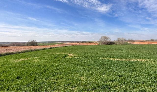 Diyarbakır Çınar’da tarla icradan satılığa çıkarıldı