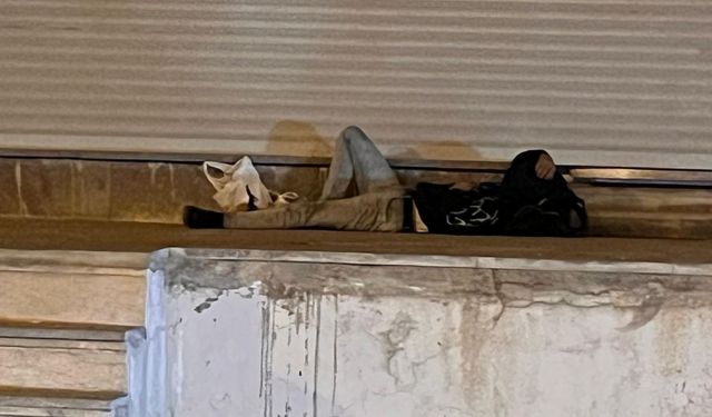 Diyarbakır’da yerde uzanan dram!