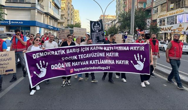 Diyarbakır’daki yürüyüşte “ölüm kampları” çıkışı