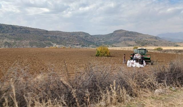 Diyarbakır Kulp’ta çiftçiler ekim mesaisine başladı