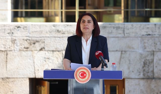 Diyarbakır milletvekili kadın cinayetlerine isyan etti