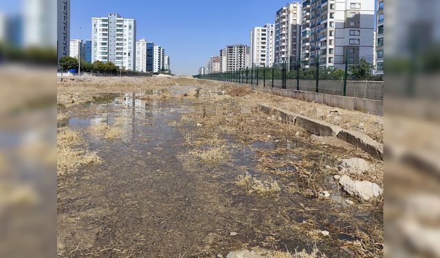 Sosyete mahallesini lağım suyu bastı
