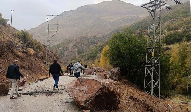 Van’da facianın eşiğinden dönüldü