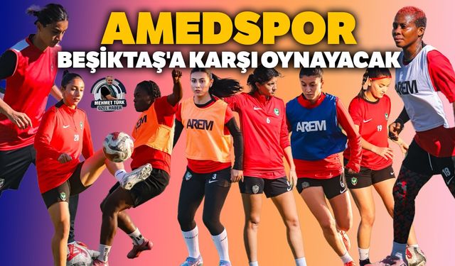 Amedspor, Beşiktaş'a karşı oynayacak