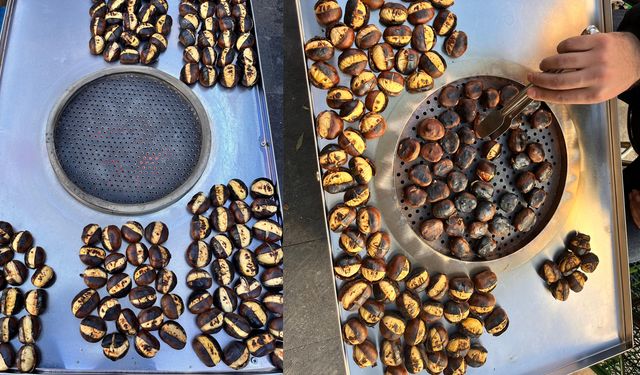 Diyarbakır’da kestane sezonu açıldı